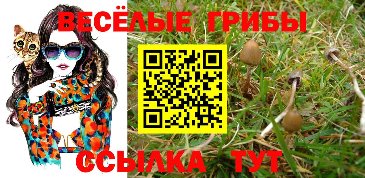Галлюциногенные грибы мухоморы Междуреченск